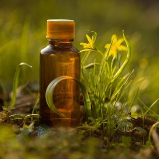 Quelle: MAXSHOT-PL / Shutterstock Quelle: MAXSHOT-PL / Shutterstock
